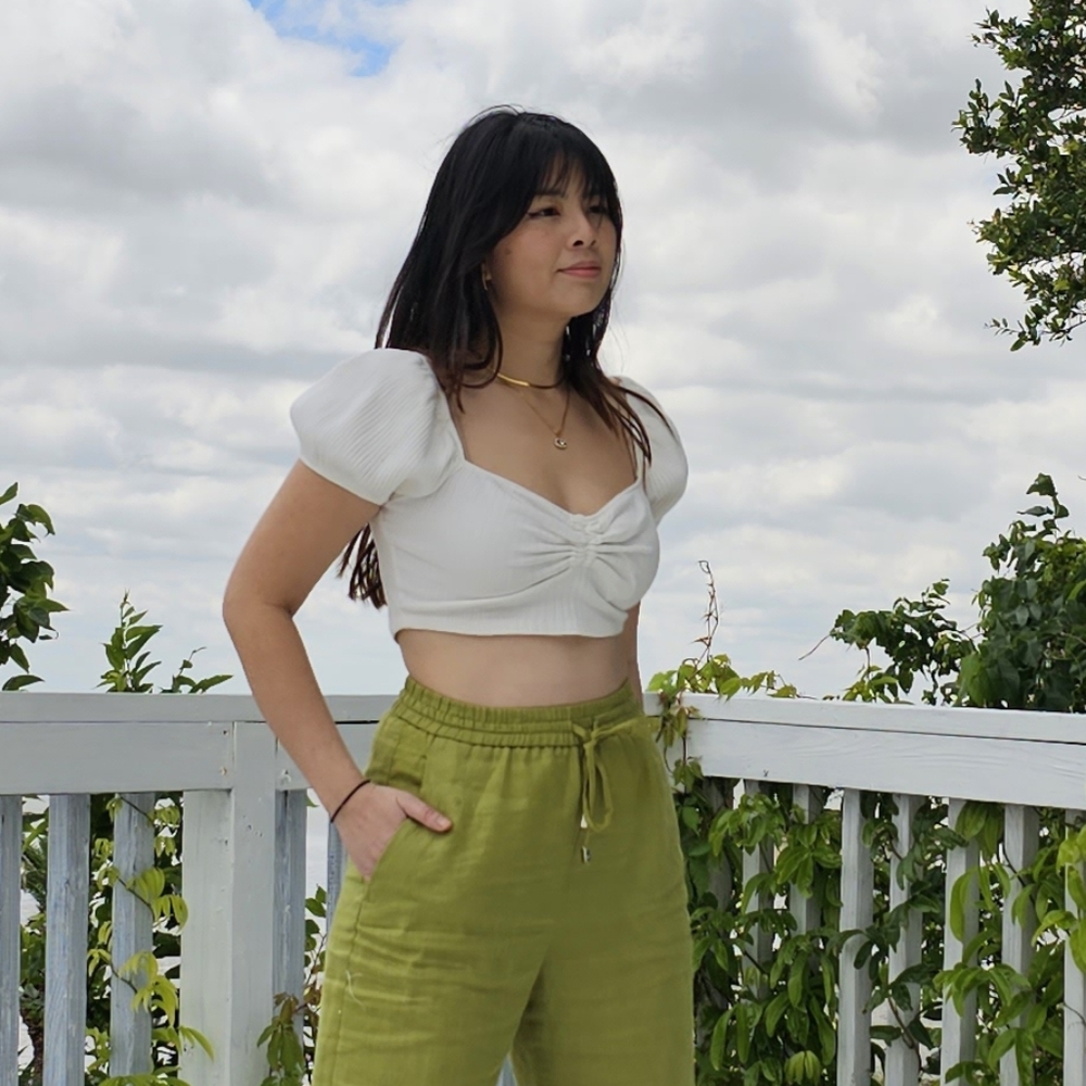 Zara crop top